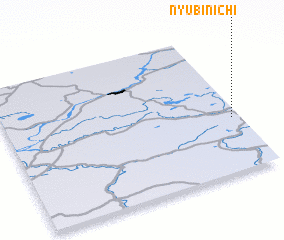3d view of Nyubinichi