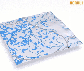 3d view of Menuli