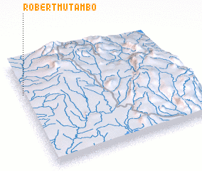 3d view of Robert Mutambo