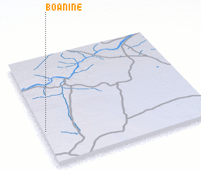 3d view of Boanine