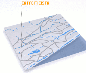 3d view of Cat. Feiticista