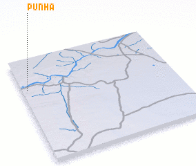 3d view of Punha