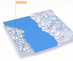 3d view of Kapika