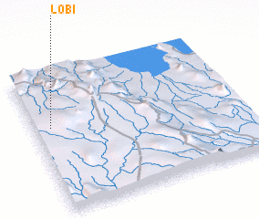 3d view of Lobi