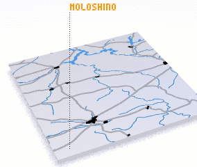 3d view of Moloshino