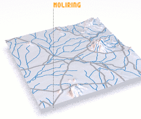 3d view of Moliring