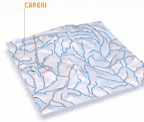 3d view of Capeni