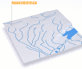 3d view of Mwakubiringa