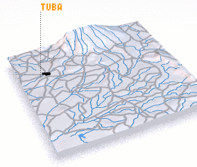 3d view of Tuba
