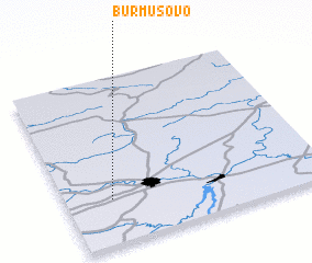 3d view of Burmusovo