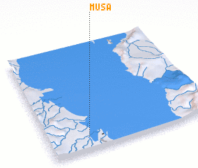 3d view of Musa