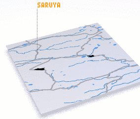 3d view of Saruya
