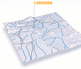 3d view of Lomukura