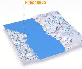 3d view of Mungombwa