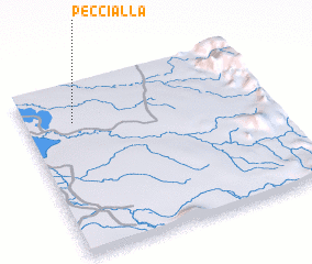 3d view of Peccialla