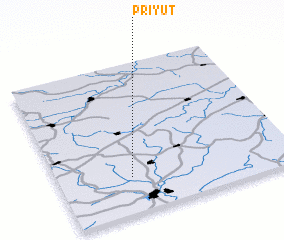 3d view of Priyut