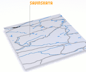 3d view of Savinskaya