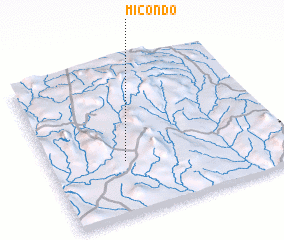 3d view of Micondo