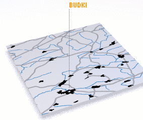 3d view of Budki