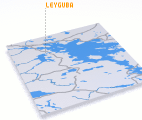 3d view of Leyguba