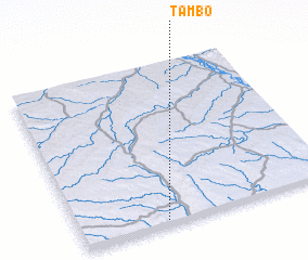 3d view of Tambo