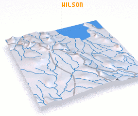 3d view of Wilson