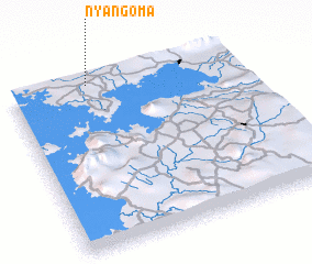 3d view of Nyangʼoma