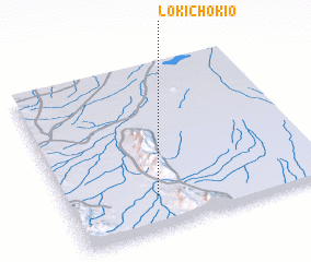 3d view of Lokichokio