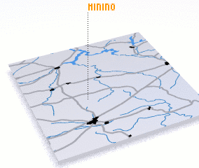 3d view of Minino