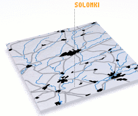 3d view of Solomki