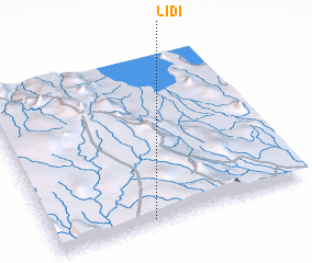 3d view of Lidi