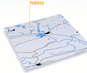 3d view of Tuboss