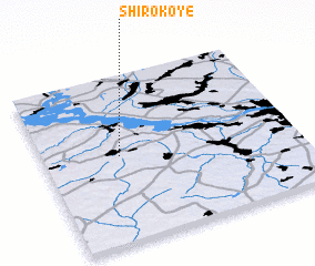 3d view of Shirokoye