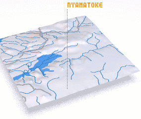 3d view of Nyamatoke