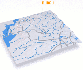 3d view of Bungu