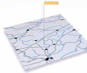 3d view of Sininka