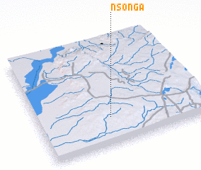 3d view of Nsonga