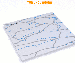 3d view of Turukova Gora