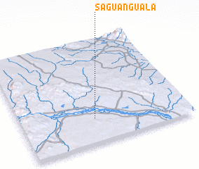 3d view of Saguanguala