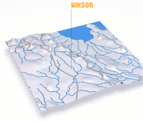 3d view of Wikson