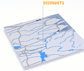 3d view of Sosnovets