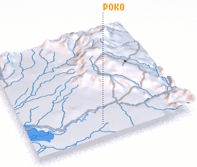 3d view of Poko