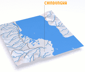 3d view of Chindungwa