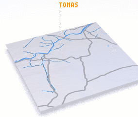 3d view of Tomás