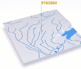 3d view of Nyasadu
