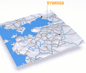 3d view of Nyamuga