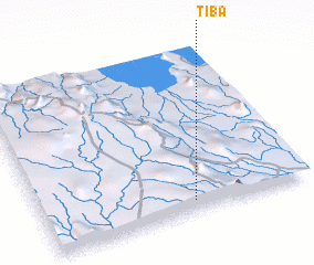 3d view of Tiba