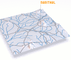 3d view of Narithal