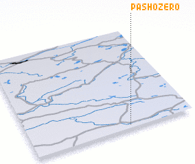 3d view of Pashozero