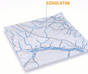 3d view of Dzikolatha